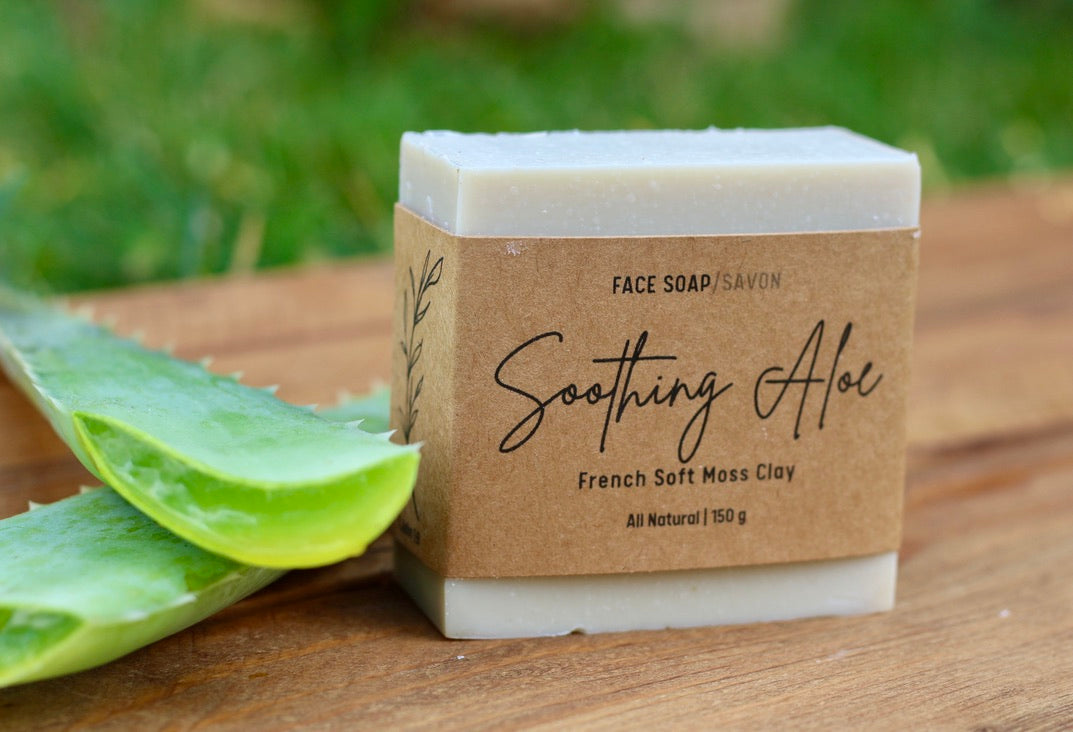 Soothing Aloe All-Natural Handmade Tallow Face Soap Alt Side View with Fresh Aloe Vera 