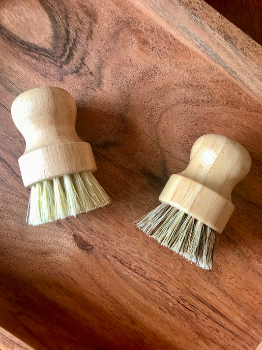 Dish Brush